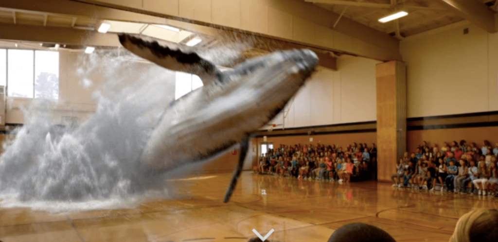 Untitled design 1024x498 - Virtual Reality, Augmented Reality and Mixed Reality: Getting to Know Them