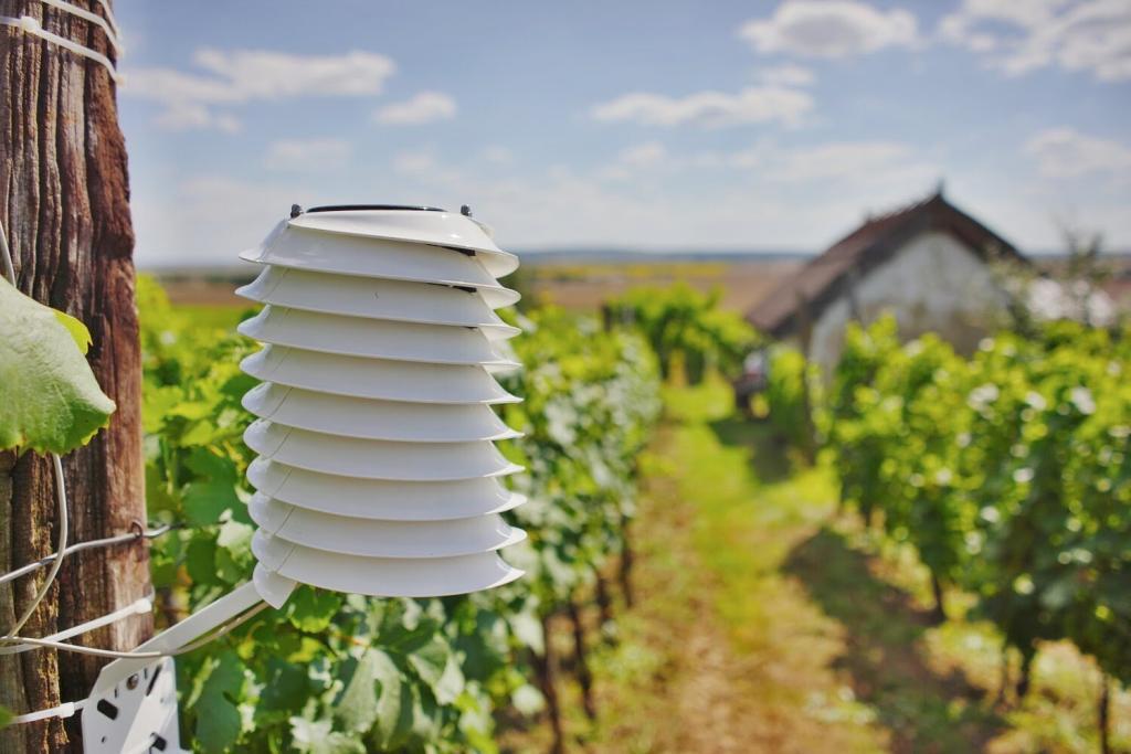 allmeteo 1024x683 - How IoT Refines Agriculture