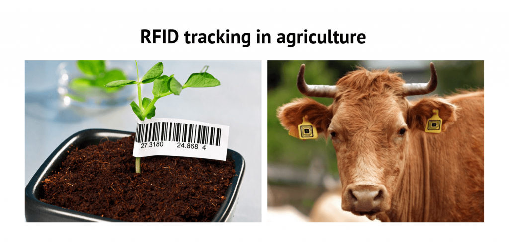 IoT Tracking Technologies in a Nutshell rfid agriculture 1024x498 - IoT Tracking Technologies in a Nutshell