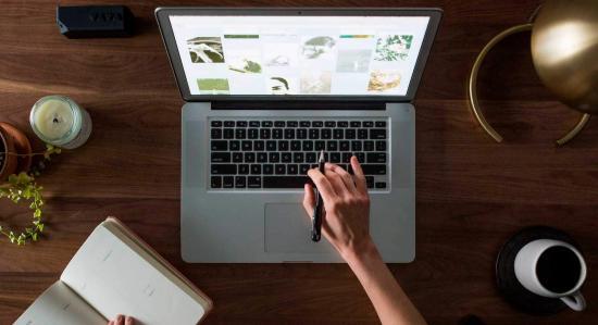 back photo 1 550x299 - Portfolio