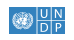 undp -