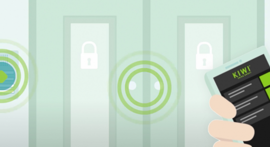 Image 20230606 165940 105 1 550x299 - Portfolio