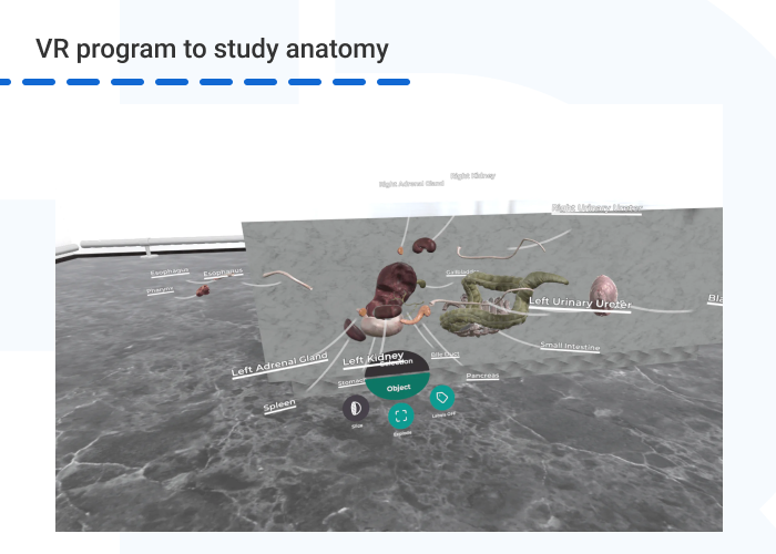 VR program to study anatomy 1 - How to Ensure Consistent Training Content Across International Employees?